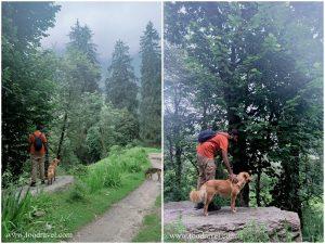 waterfalls in shangarh