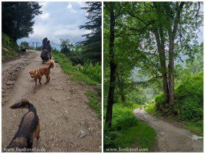 waterfall in shangarh