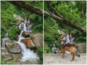 waterfall in shangarh