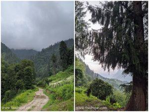 waterfall in shangarh
