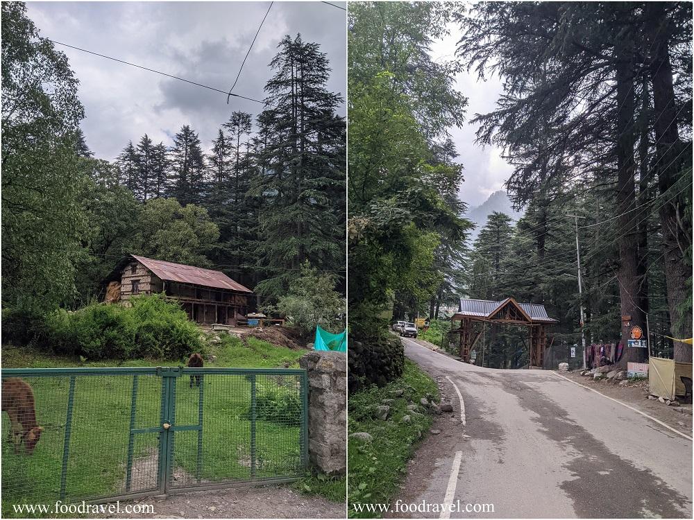 a day in manali