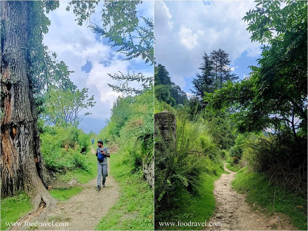 tranquil moments in naggar