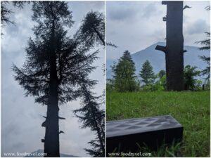 tranquil moments in naggar