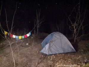 2022 new year celebration at shangarh