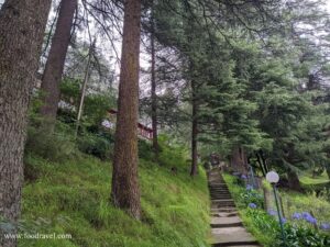 Urusvati Himalayan Folk & Art Museum