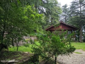 roerich art gallery naggar