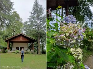 roerich art gallery naggar