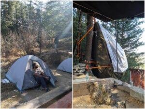treestays camps shangarh
