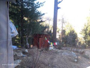 treestays shangarh tents