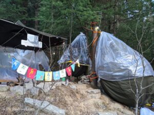tree stays shangarh tree tents