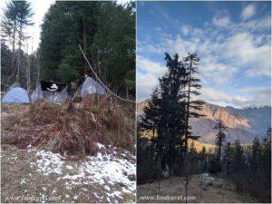 shangarh camps treestays