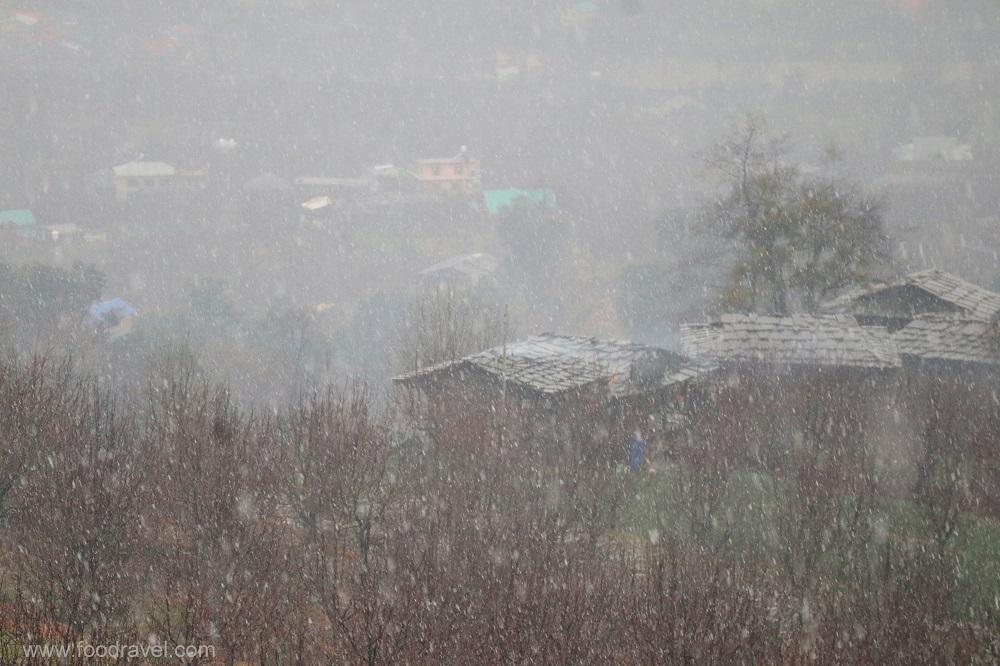 IMG_4782 penthouse in nashala, naggar