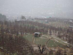 penthouse nashala, larankelo