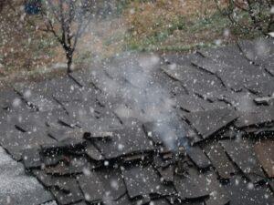 penthouse nashala naggar