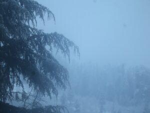 penthouse near naggar