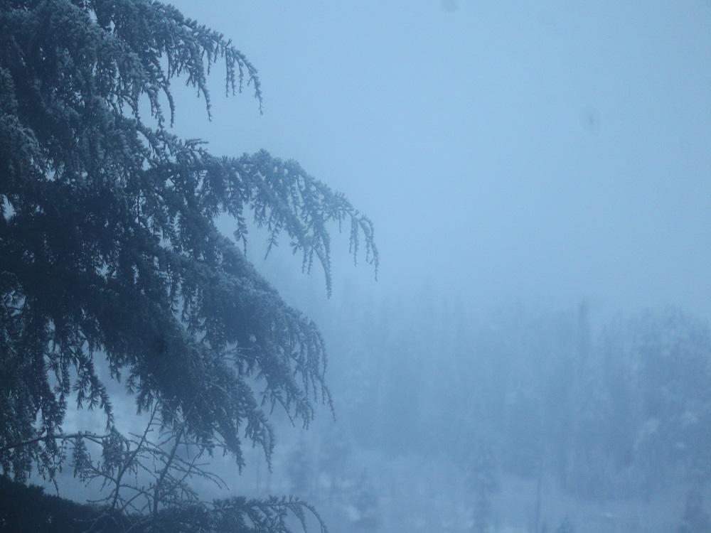 IMG_4854 penthouse near naggar