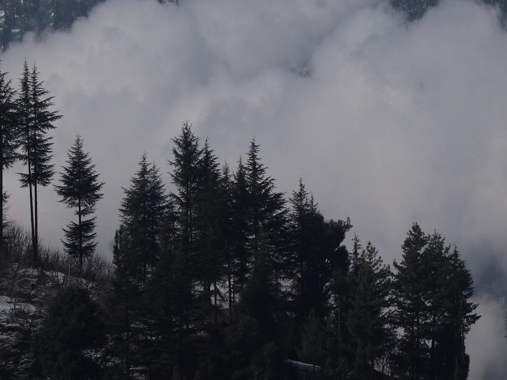 IMG_4881 penthouse in naggar
