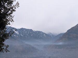 garden chalet tree house nashala