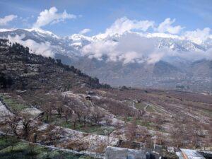 woody's himalayan health food penthouse naggar