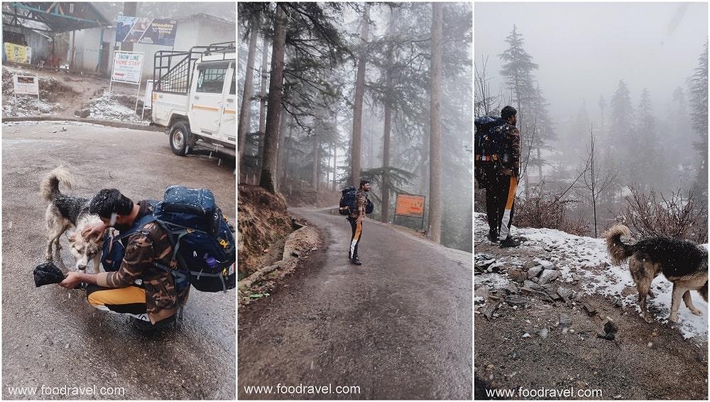 Heavy Snowfall in Shangarh 12-min heavy snowfall in shangarh sainj valley