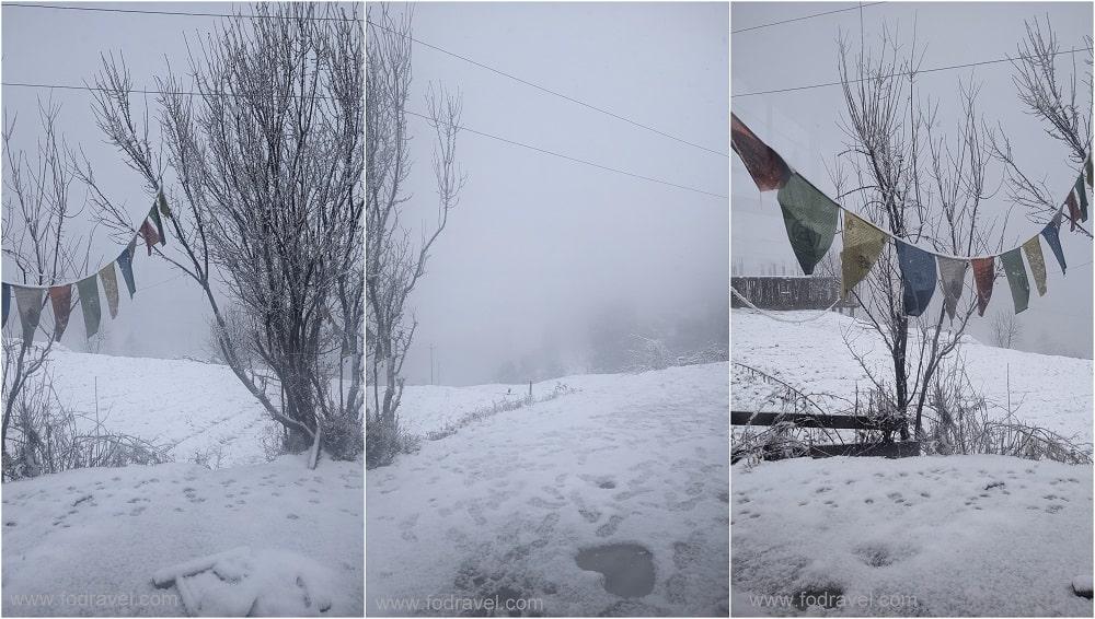 Heavy Snowfall in Shangarh5-min snowfall in shangarh sainj valley