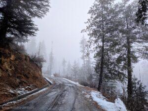 road trip to shangarh