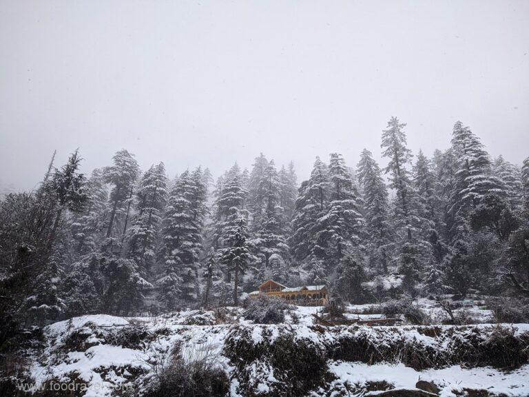 heavy snowfall in shangarh