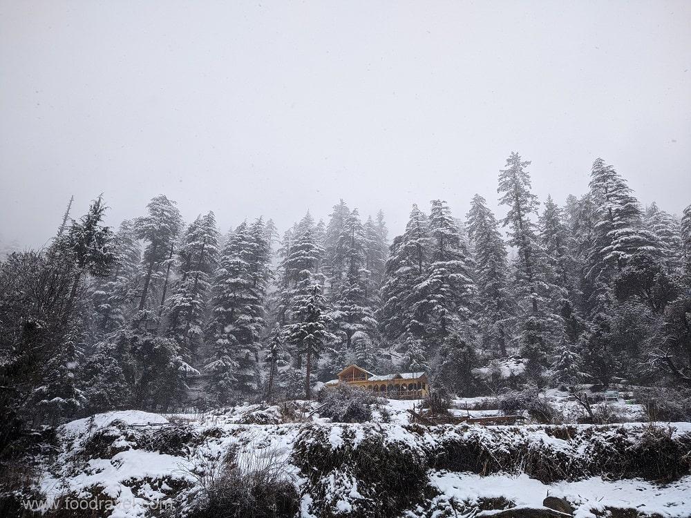 heavy snowfall in shangarh