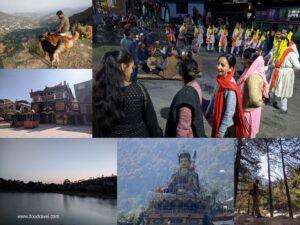 12 months and 13 trips