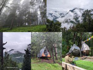 12 months and 13 trips