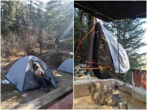 13 trips in 12 months