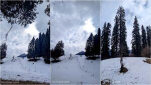 trekking to ganjau thatch shangarh