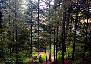 bhatkanda sunset view point raila