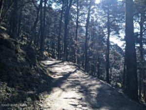 trekking to serolsar lake jalori pass