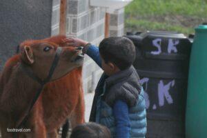 life lessons learned through travel