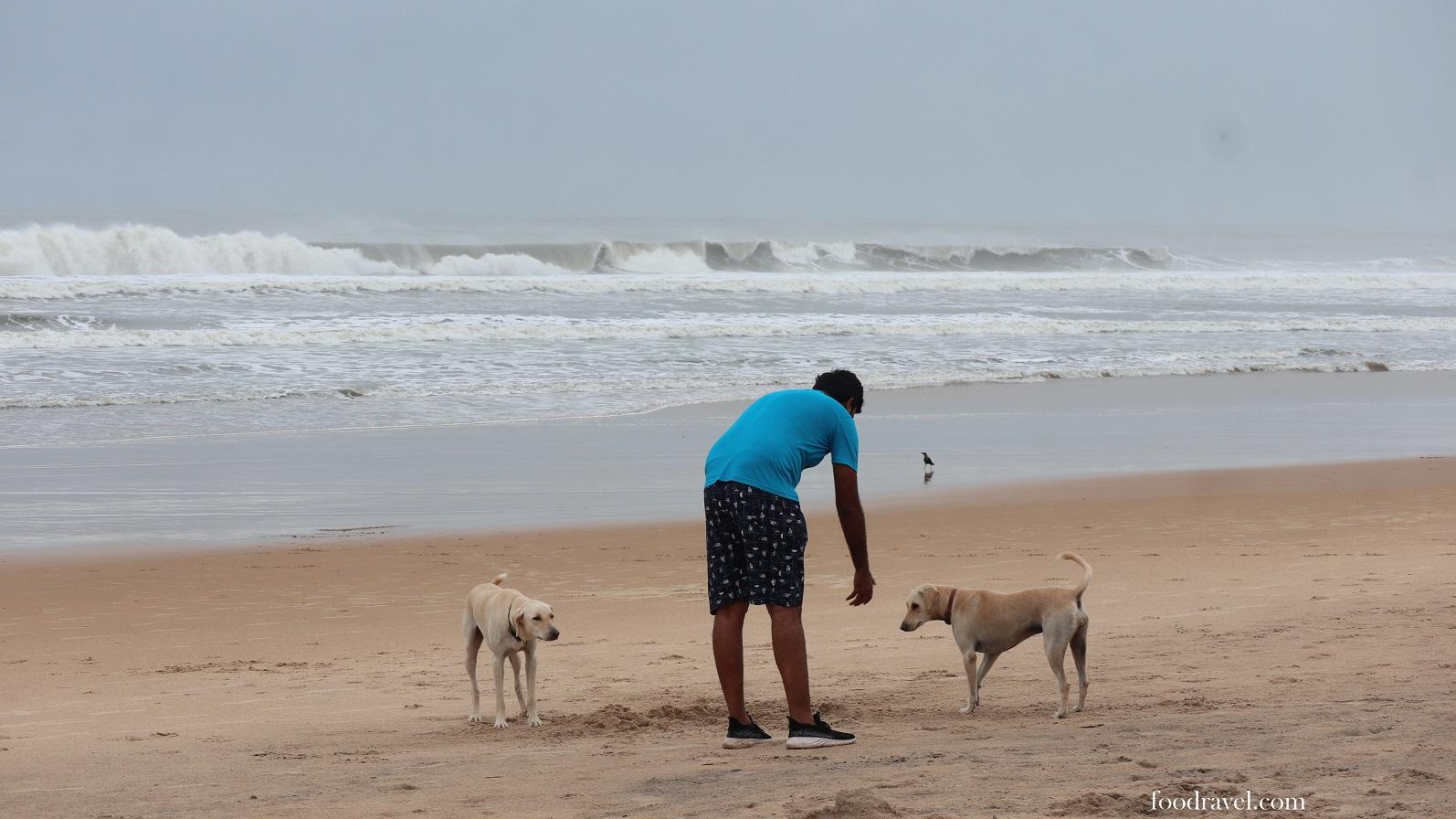 baga beach