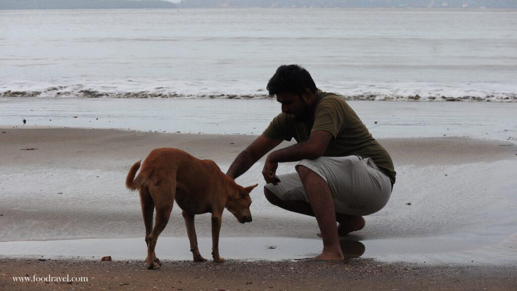 Bambolim Beach