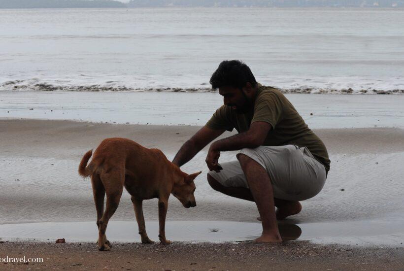 Bambolim Beach: Unveiling the Hidden Charm of Goa
