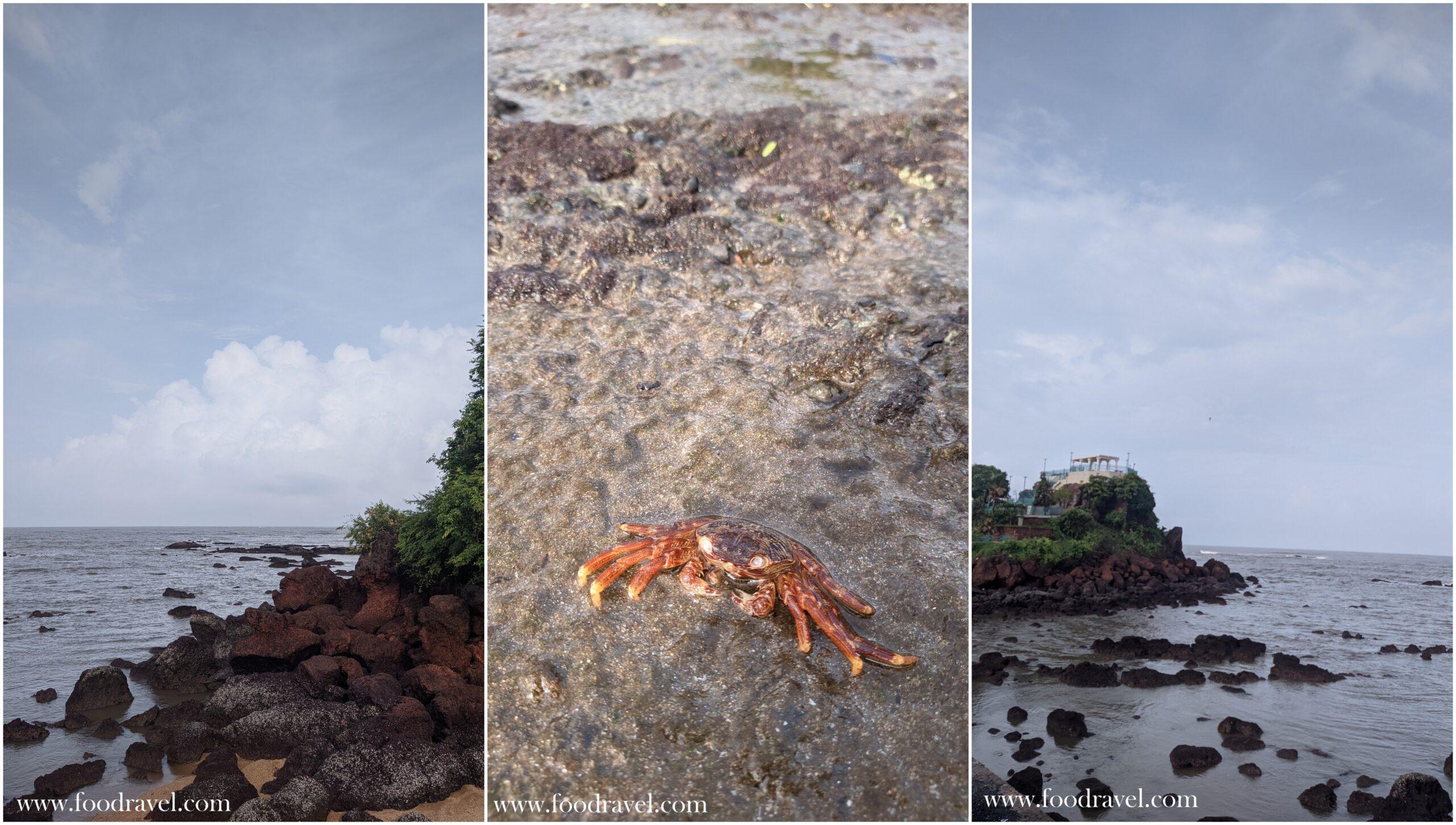dauna paula beach