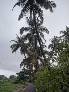 Caranzalem Beach