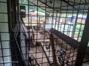 Casa Araujo Alvares goa