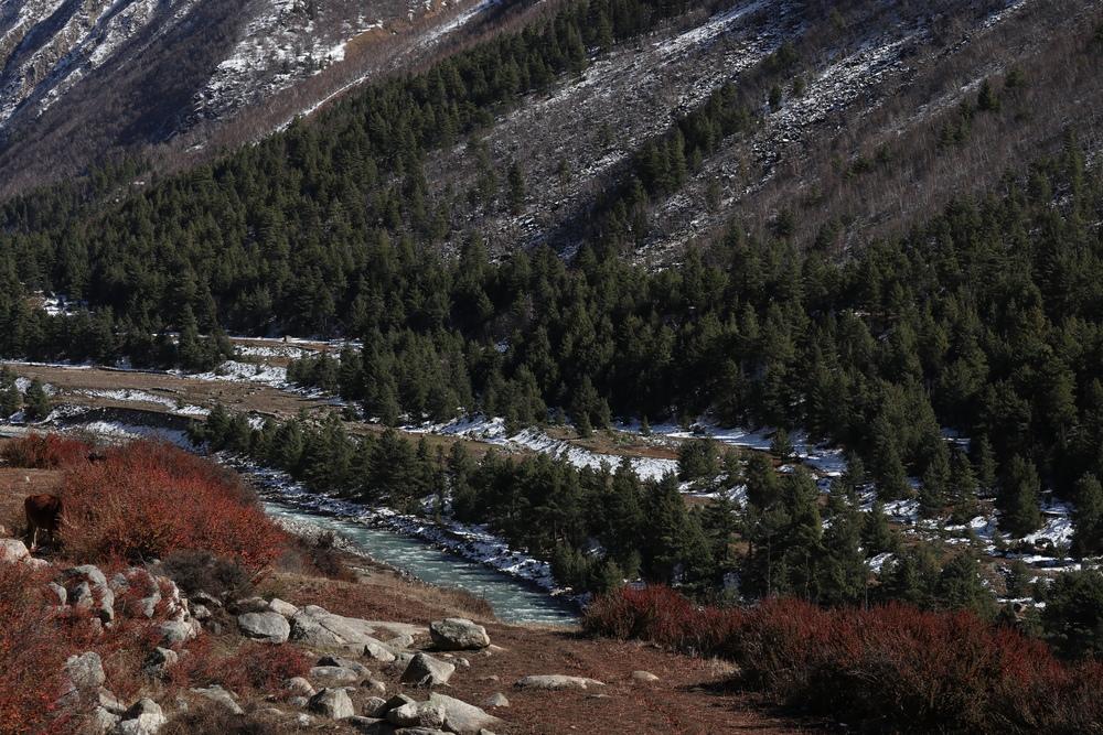 two days in chitkul