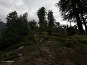from shangarh to lapah trek