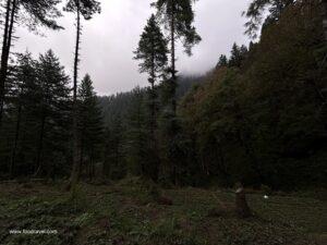 trekking from shangarh to lapah