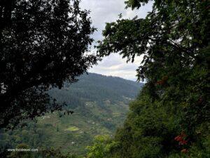 lapah hiking trail from shangarh