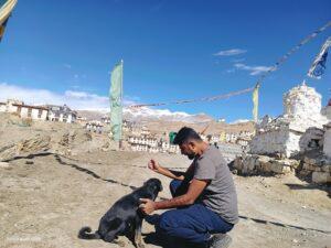 one week in kaza