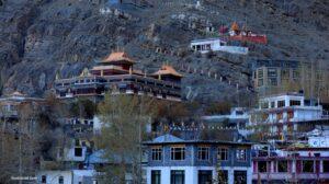one week in kaza