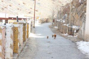 kye gompa