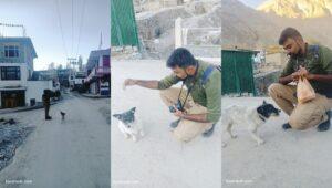 one week in kaza