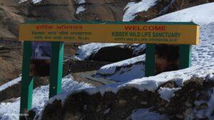 kibber spiti valley